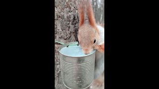 Если везде занято, то надо попить водички / If everything is busy, then you need to drink some water