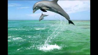 Gregor Theelen- Ocean Symphony / The Irish Sea