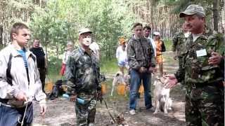 Владимирская выставка охотничьих собак 2012