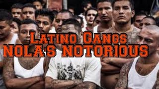 Latino Gangs In New Orleans & Surrounding Areas (Nola's Notorious)