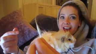 Guinea pig bit off Zoella's hair