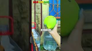 NIRUIN BENTUK BALON #shorts #shortvideo #ballon #balloon #ballons #balloons #youtubeshorts #fyp