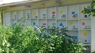 1 Как сделать кассетный улей аналог Берендей от А до Я. Введение.
