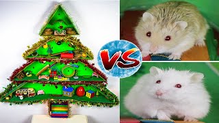 Kartopu & Fındık Yeni Yıl Ağacında Birbirlerine Meydan Okuyor.! | Hamster Labirent Kapışması