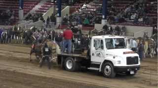 Annual Spring Horse Pull \ лошади тяжеловозы в работе