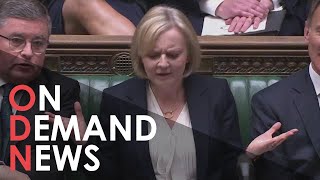 Will Liz Truss survive as PM and who could replace her?
