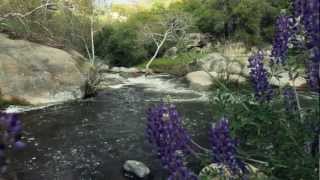 Fighting for Native American Water Rights