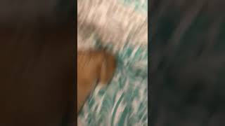 Penis!!