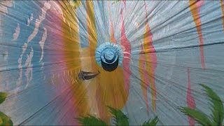 Girls Pissing on Girls Pissing - Rainbow Islands