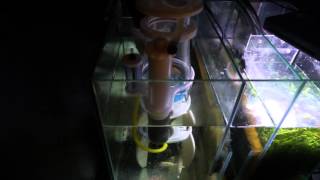 AquaMaxx ConeS CO 1 nano reef reef tank
