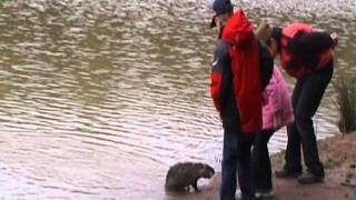 Новый фильм muvee 008