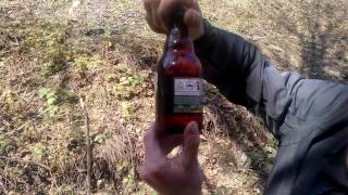 Alkol yasaği