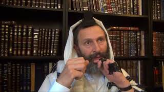Ets Haim 1-7 : toucher le Ein Sof au fond de son coeur
