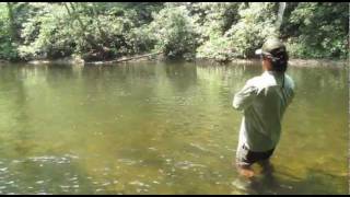 Smoky Mountain Fly Fishing Video Blog - Fishing with poppers for smallmouth bass
