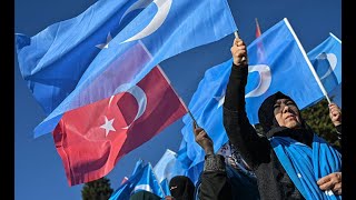 Daily Sabah (Турция): что может сделать мусульманский мир для спасения уйгуров и ислама в Китае.
