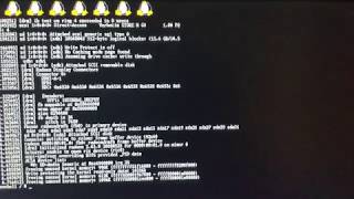 PS4 Linux on 4.05