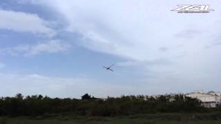 Zeal Blades 700mm with Goblin 700