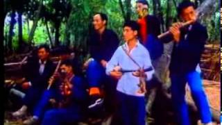 Hani Akha (บทเพลงแห่งฮาหนี่ 2)