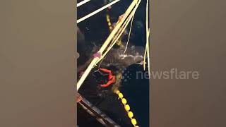 Heartwarming moment three trapped whale sharks are released from fishing trawler's net