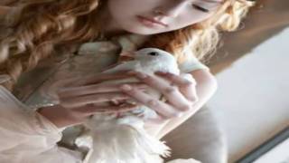 White Dove by Brian Crain