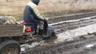 OFF-ROADING на мотороллере муравей с современным 4T двигателем.