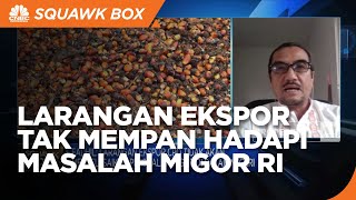 Ekonom: Larangan Ekspor Tak Selesaikan Persoalan Minyak Goreng RI