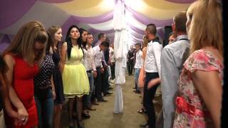 Elvis&Andreea,nunta la Cerneti 5