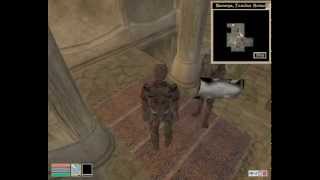 Morrowind. Балмора. Гильдия бойцов. Кодовая книга.