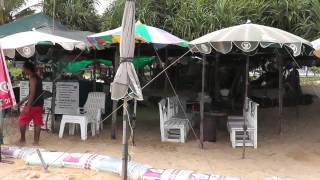 Phuket Orchid Resort 4* (часть 3)