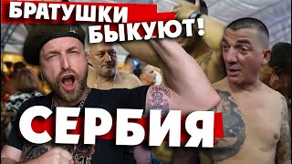 "СЕРБИЯ ГУЛЯЕТ!": лайфхак как не надо вести себя на фестивале в Гуче.