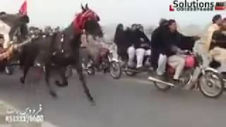 Ghurghushti Horse RaceTalu e Sher 2015