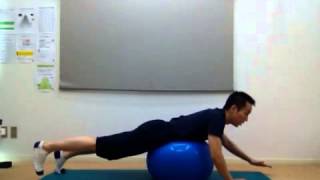 バランスボール背筋姿勢トレーニング ダイアゴナル