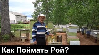 №67 Как Поймать Рой? Роеуловитель.Пасека. Роеуловитель.Пчеловодствл.Пасека.