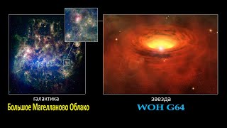 WOH G64. САМАЯ БОЛЬШАЯ ЗВЕЗДА ИЗ ГАЛАКТИКИ БОЛЬШОЕ МАГЕЛЛАНОВО ОБЛАКО