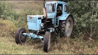 Трактор Т40 Пытается Выташить Дерева | ЛТЗ или МТЗ ?