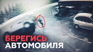 Житель Бобруйска во время пробежки спасся от летевшего на него автомобиля