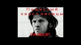 ПУШИСТЫЙ ХВОСТ ЛИСИЦЫ РАЗБОР К.СТУПИН