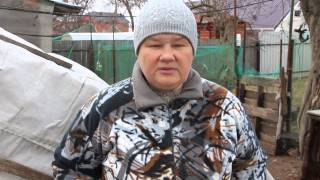 Тонкости разведения мускусных уток.