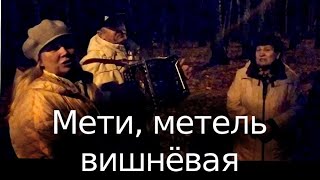"Мети, метель вишнёвая" песня под гармонь