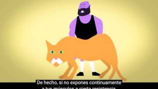 Muscle growth a good and simple explanation TED
