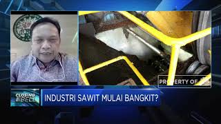 GAPKI: Peningkatan Kebutuhan Biodisel Topang Kinerja Industri Sawit