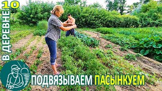 Подвязка и пасынкование помидор и обзор огорода Жизнь Гордеевых в деревне - Влог 10