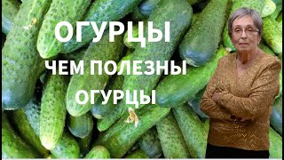 Огурцы. Узнайте чем полезны огурцы?