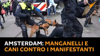 #Amsterdam: manganelli e cani contro i manifestanti