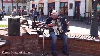 Красивая музыка на аккордеоне! Street! Music! Busker!