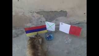 ARMENIA V.S. MALTA