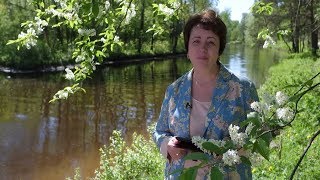 979. Хлеб на каждый день. Атмосфера мира для детей.
