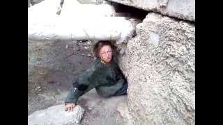 Гробница тутанхомона