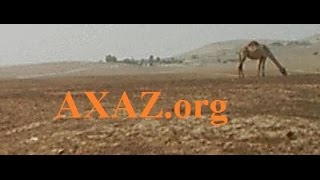 2. Изучение иврита. Анекдоты на иврите