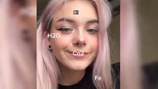 hammer bangs head /BONK MEMES TIKTOK / МЕМЫ ПРО БОНК / молоток по голове мемы